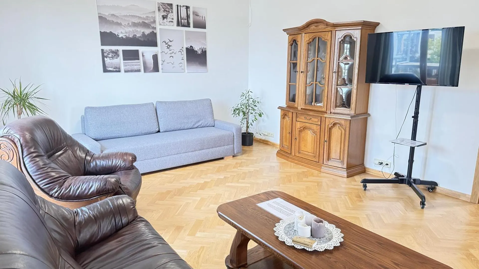 Familyvilla, New 4 Luxury Big Apartments, Parking Praha Apartmán
